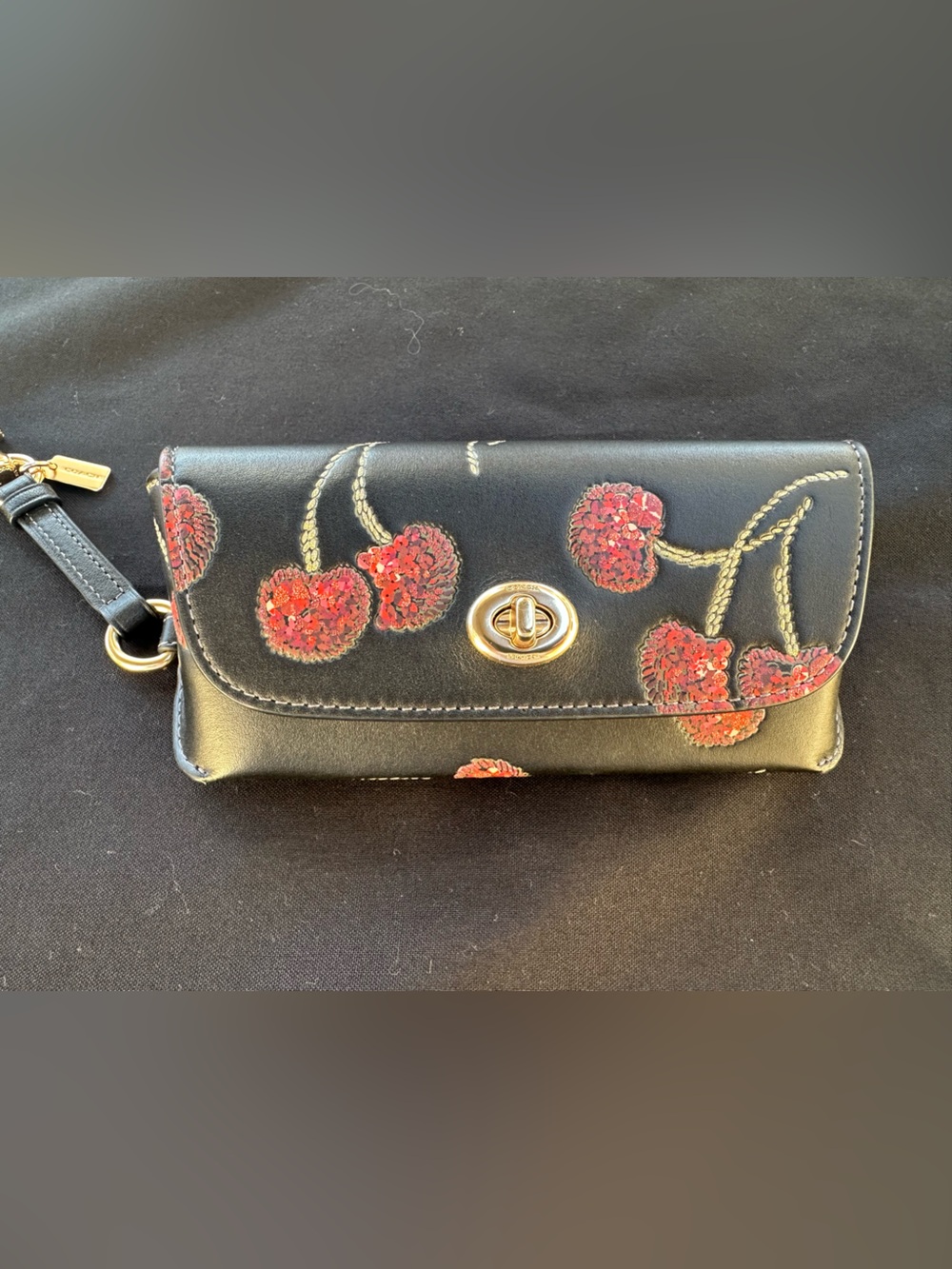 🍒Coach Cherry Sunglass/ Eyeglass Case 🍒